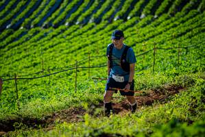 BIB: 
                            <button type="button" onclick="openModal(19160629)" class="btn btn-primary btn-sm float-right btn-popup" data-toggle="modal" data-target=".modal-high-quality">
                        <i class="fas fa-shopping-cart"></i> Add to Cart
                    </button>
                                            <button type="button" onclick="isThisMe(19160629, true)" class="btn btn-success btn-sm float-right btn-popup btn-isme hidden" data-toggle="tooltip" data-placement="bottom" title="นี่คือรูปของคุณใช่ไหม คลิกที่นี่เพื่อเอาเข้าอัลบั้ม">
                        <i class="fas fa-plus"></i> Add to album
                    </button>
                    <button type="button" onclick="isThisMe(19160629, false)" class="btn btn-warning btn-sm float-right btn-popup btn-isnotme hidden">
                        <i class="fas fa-ban"></i> Remove from album
                    </button>